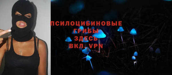 мяу мяу мука Пересвет