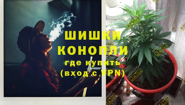 мяу мяу мука Пересвет