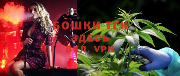 spice Пестово