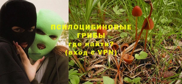 spice Пестово